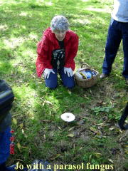 Jo Weightman with a parasol fungus