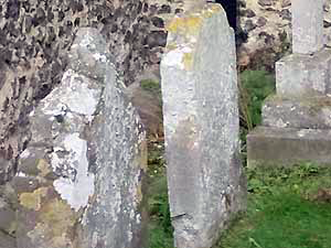 Church Lichen Survey - Caloplaca in situ