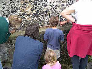 Church Lichen Survey - inspecting the ragstone ledge