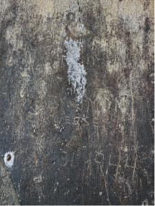 lead inscription on roof of Aymers