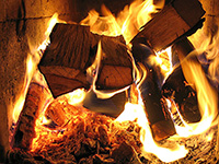 Burning Wood in the home