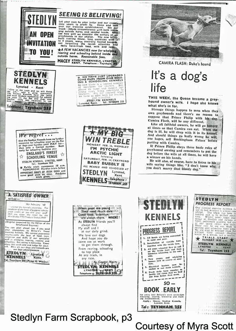 Stedlyn Farm Scrapbook Page No3