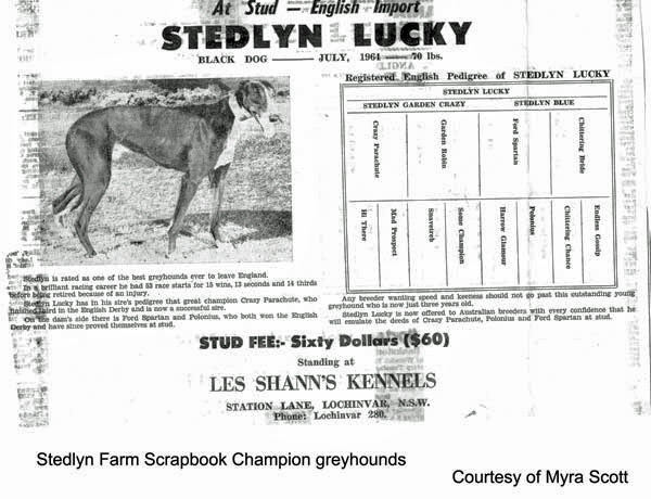 Stedlyn Farm Scrapbook Page No10